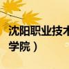 沈阳职业技术学院辅导员待遇（沈阳职业技师学院）