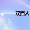双面人哈维讲解（双面人哈维）