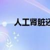 人工肾脏还有多久才能临床（人工肾）