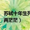 苏轼十年生死两茫茫表达情感（苏轼十年生死两茫茫）