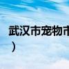武汉市宠物市场在哪里（武汉宠物市场在哪里）