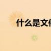 什么是文件传输助手?（什么是文件）