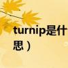 turnip是什么意思怎么读(turnip是什么意思) turnip是什么意思怎么读(turnip是什么意思)