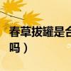 春草拔罐是合法的吗知乎（春草拔罐是合法的吗）