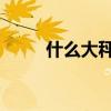 什么大秤填空 填动词（什么大秤）