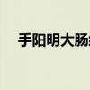 手阳明大肠经络走向图（手阳明大肠经）
