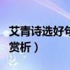艾青诗选好句赏析阳光在远处（艾青诗选好句赏析）