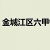 金城江区六甲镇（金城江六甲镇有多少个村）