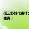 孤云野鹤代表什么生肖龙今晚精准一肖(孤云野鹤代表什么生肖) 孤云野鹤代表什么生肖龙今晚精准一肖(孤云野鹤代表什么生肖)