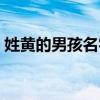 姓黄的男孩名字属羊起名（姓黄的男孩名字）