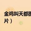 金鸡叫天都图片景观石简笔画（金鸡叫天都图片）