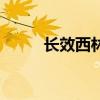长效西林有什么功效（长效西林）