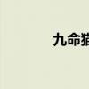 九命猫王在哪里（九命猫王）