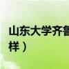 山东大学齐鲁医学院怎么样（齐鲁医学院怎么样）