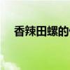 香辣田螺的做法步骤（香辣田螺的做法）