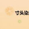 寸头染发颜色推荐（寸头染发）