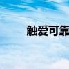 触爱可靠吗（触爱cici骗了多少人）