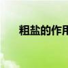粗盐的作用与功效禁忌（粗盐的作用）