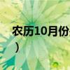 农历10月份是什么星座（10月份是什么星座）