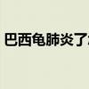 巴西龟肺炎了怎么治疗（巴西龟肺炎怎么治）