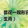昙花一现形容哪个生肖（十二生肖昙花是什么生肖）