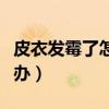 皮衣发霉了怎么处理才能干净（皮衣发霉怎么办）