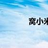 窝小米纳米涂料（纳米涂料）