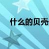 什么的贝壳一年级（一什么贝壳填量词）