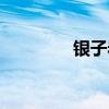 银子岩溶洞介绍(银子岩) 银子岩溶洞介绍(银子岩)