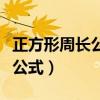 正方形周长公式用字母怎么表示（正方形周长公式）