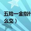 五险一金指什么交多少钱（五险一金指什么怎么交）