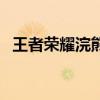 王者荣耀浣熊君去哪了（王者荣耀浣熊君）