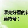 漂亮好看的花藤符号名字浅沫（漂亮好看的花藤符号）