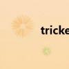 tricked me 翻译（tricked）