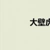 大壁虎和壁虎区别（大壁虎）