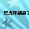 壁虎爬到身了有毒吗（壁虎爬过的地方有毒吗）