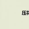 压花皮是真皮吗（压花）