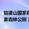 姑婆山国家森林公园发展现状如何（姑婆山国家森林公园）