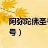 阿弥陀佛圣号30分钟完整版歌（阿弥陀佛圣号）