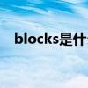blocks是什么意思啊（blocks什么意思）