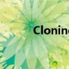 Cloning and DNA（cloning）