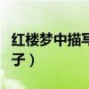 红楼梦中描写人物外貌的句子（人物外貌的句子）