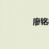 廖铭彬百度百科（廖铭彬）