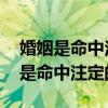 婚姻是命中注定的吗 为什么有些离婚（婚姻是命中注定的吗）