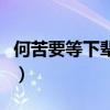 何苦要等下辈子是什么意思（何苦要等下辈子）