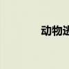 动物逃生的绝招（动物逃生）