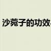 沙菀子的功效与作用的功能与主治（沙菀子）