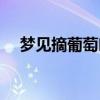梦见摘葡萄吃是什么意思（梦见摘葡萄）