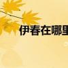 伊春在哪里在哪个省份（伊春在哪里）