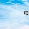 梅陇镇酒家（梅陇镇）